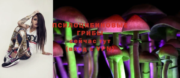 а пвп мука Верхний Тагил